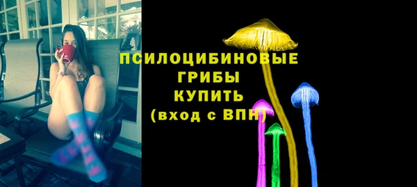 круглые Алзамай