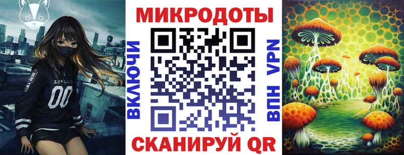Псилоцибиновые грибы Psilocybine cubensis  Сухой Лог 